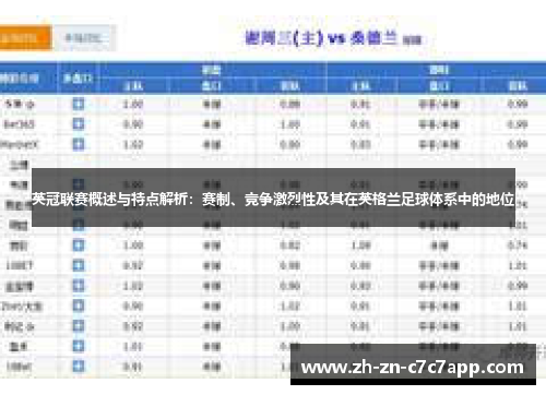 英冠联赛概述与特点解析：赛制、竞争激烈性及其在英格兰足球体系中的地位